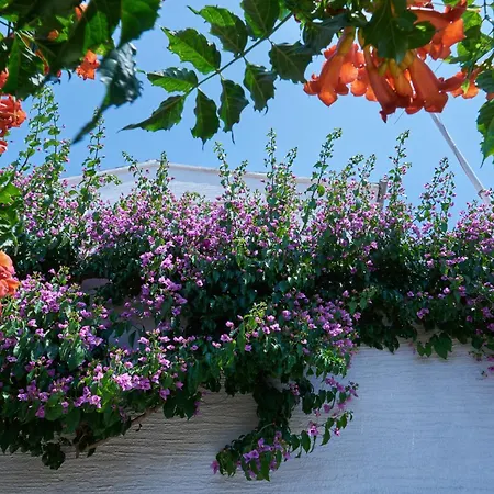 Krizmanic Appartement Ždrelac