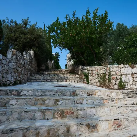 Krizmanic * Ždrelac