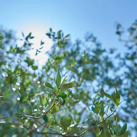 Apartamento Krizmanic Ždrelac