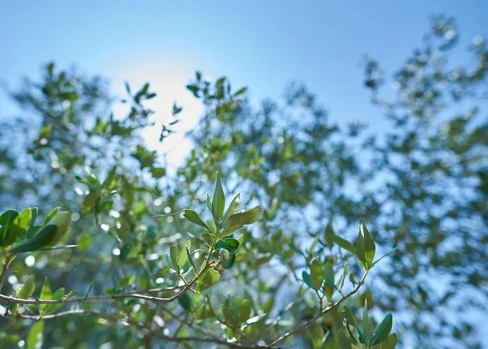 Lägenhet Krizmanic Ždrelac