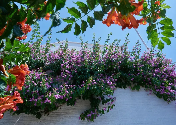 Krizmanic Lägenhet Ždrelac