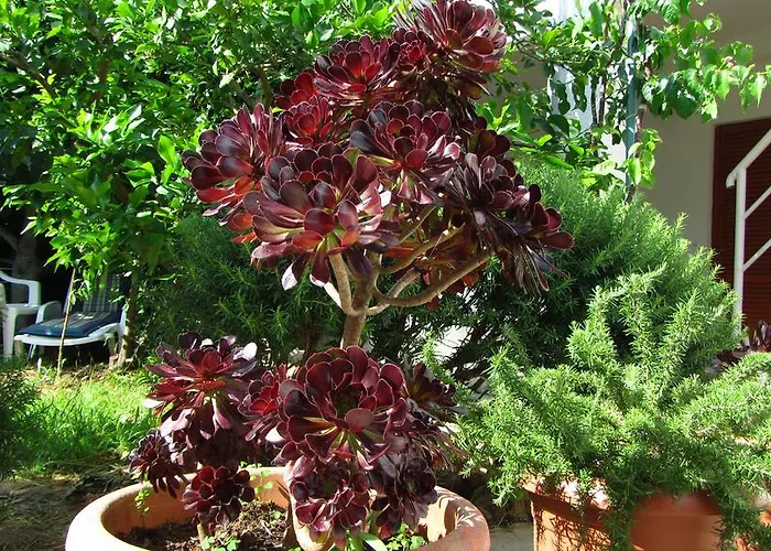 Krizmanic Lägenhet Ždrelac