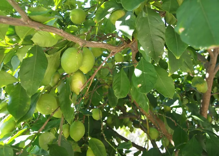 Lägenhet Krizmanic *