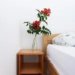 Krizmanić Apartament *